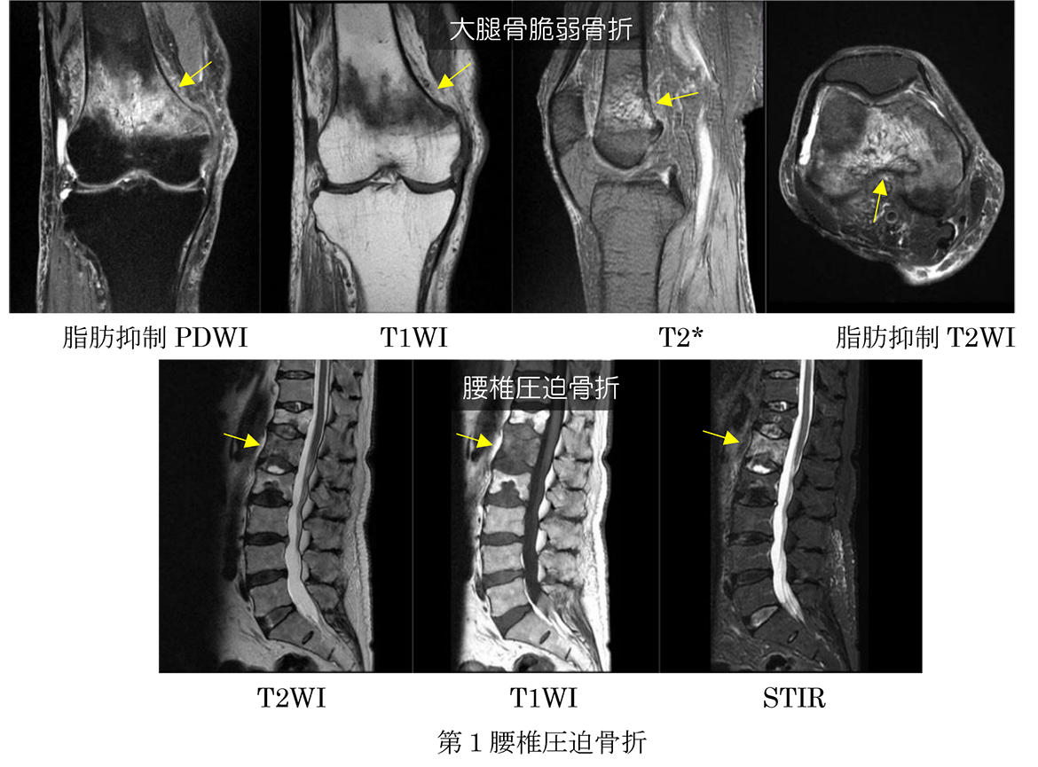 整形領域