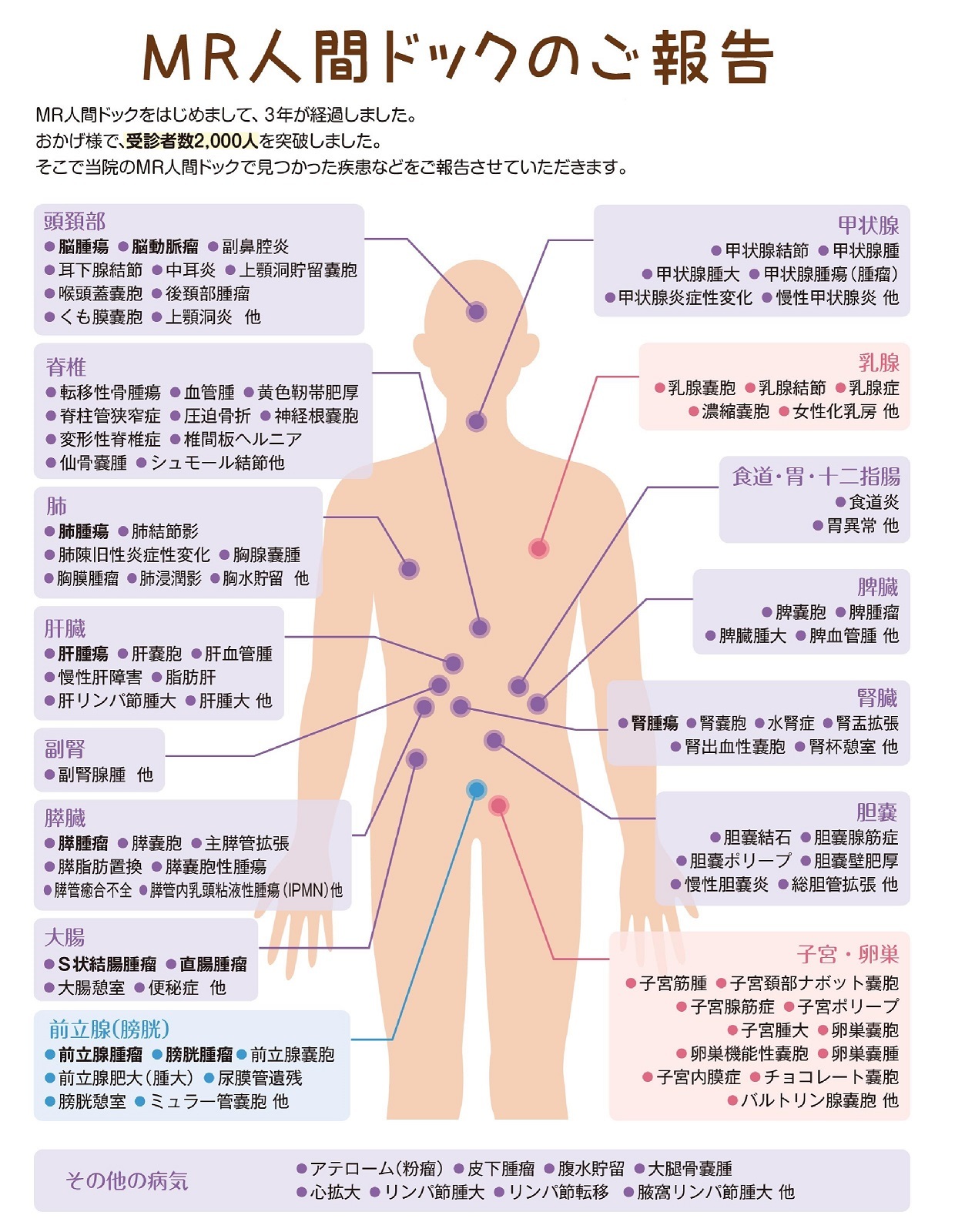 ご報告
