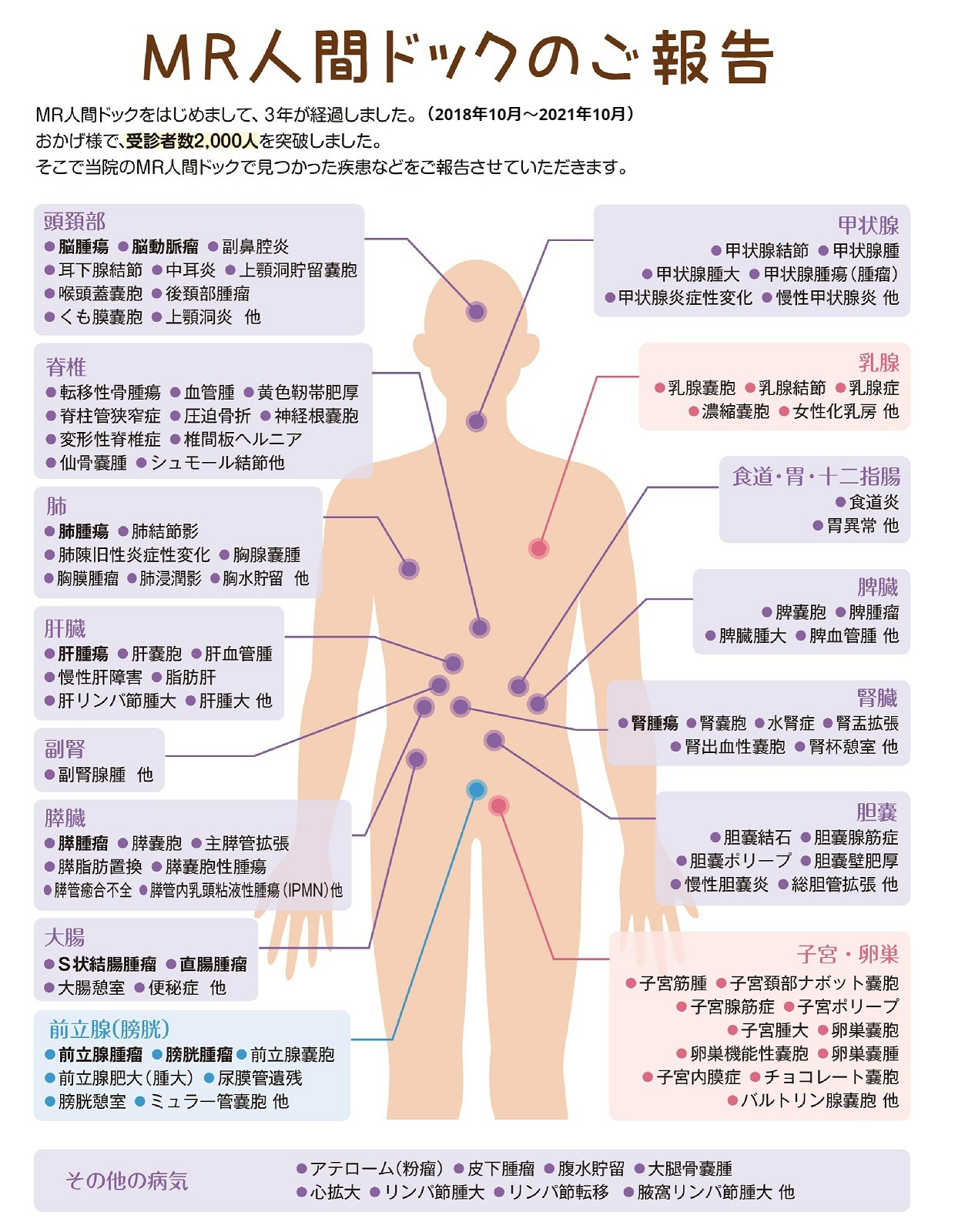 ご報告